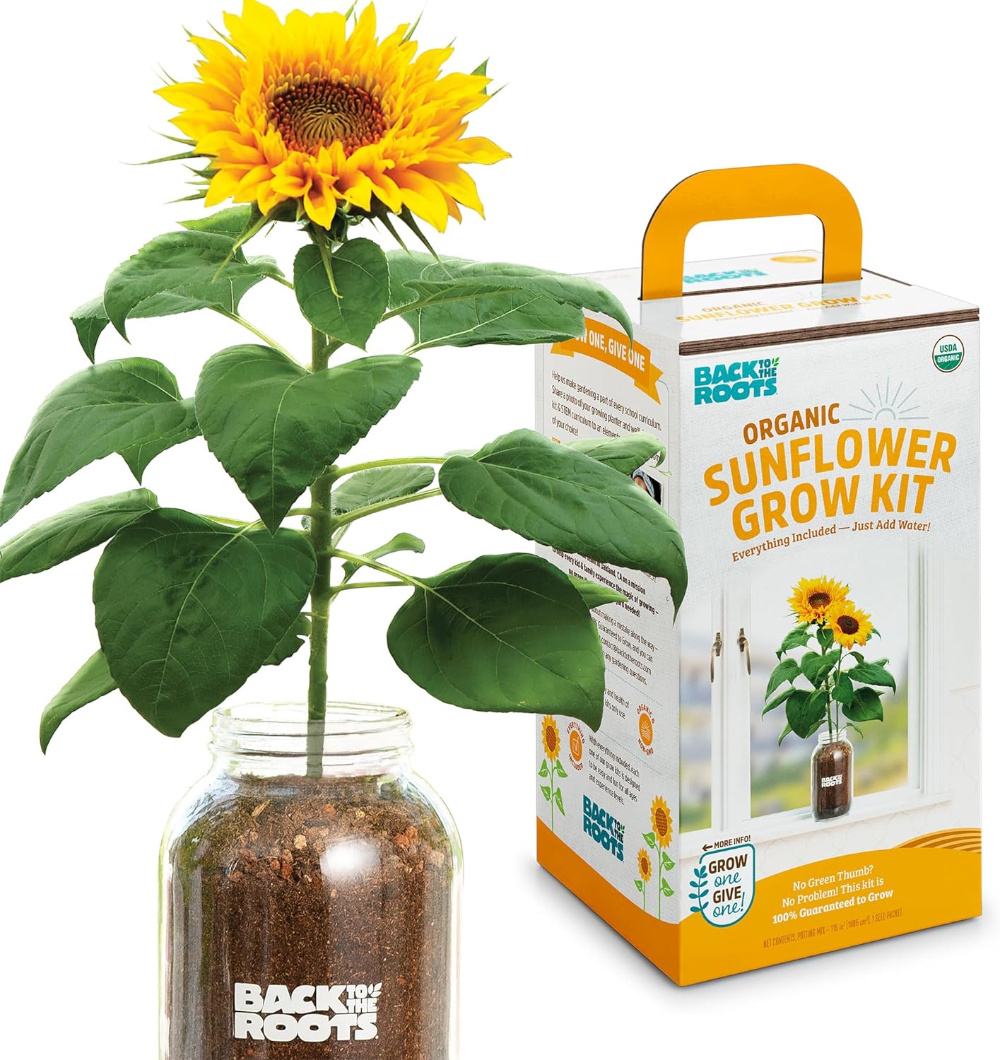 Organic Plant Grow Kit | Sunflower