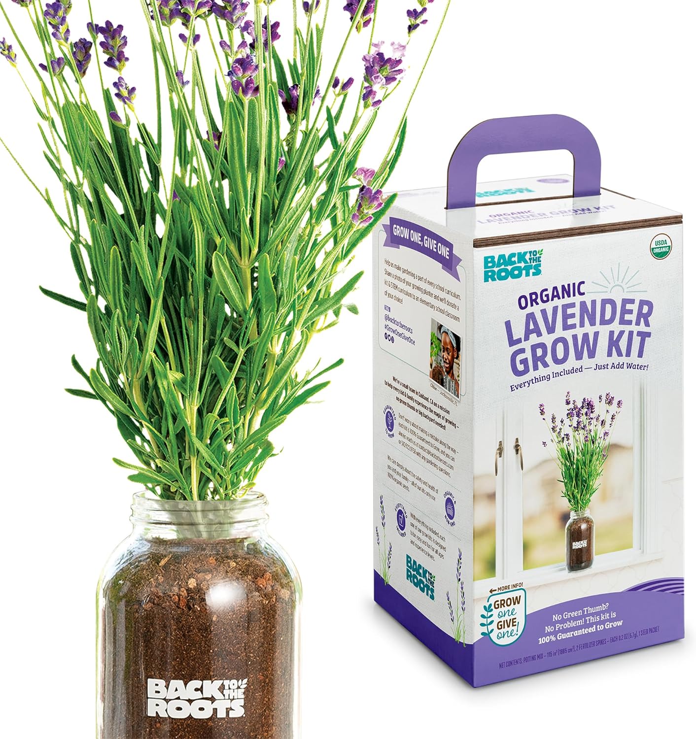 Organic Plant Grow Kit | Lavender