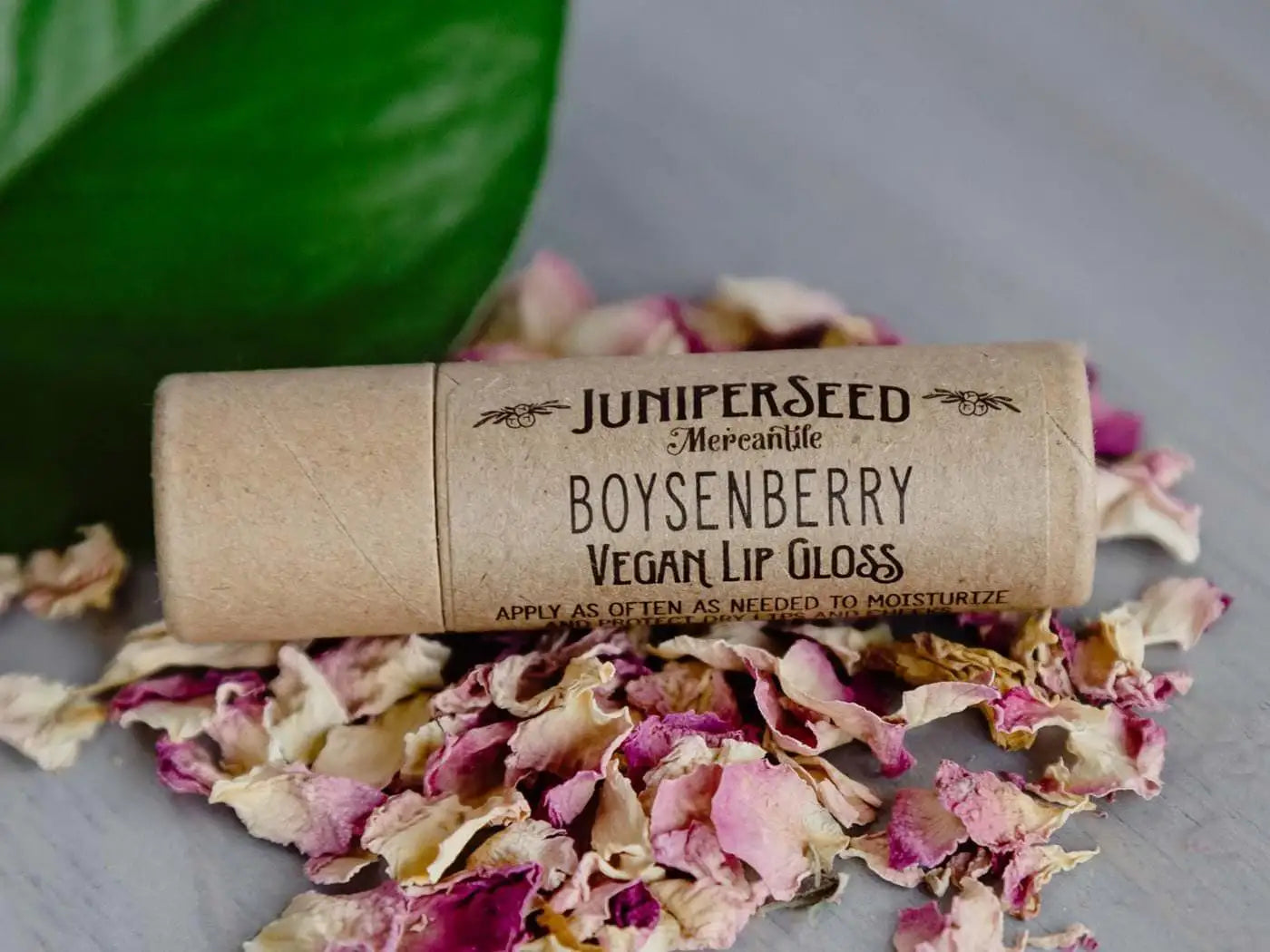 Vegan Lip Gloss - Boysenberry