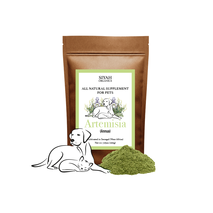 Artemisia-Annua Powder for Pets