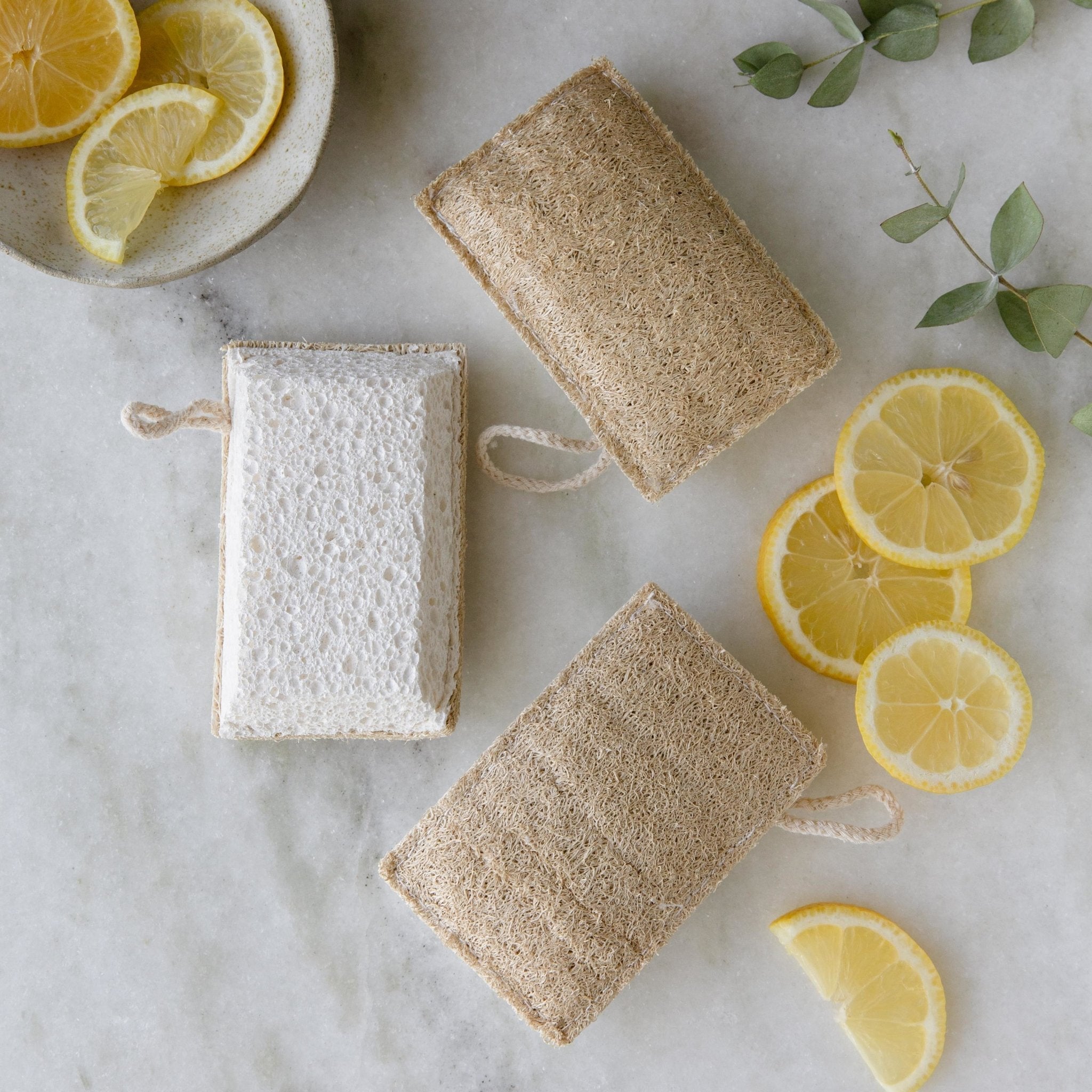 Loofah & Cellulose Cleaning Sponge