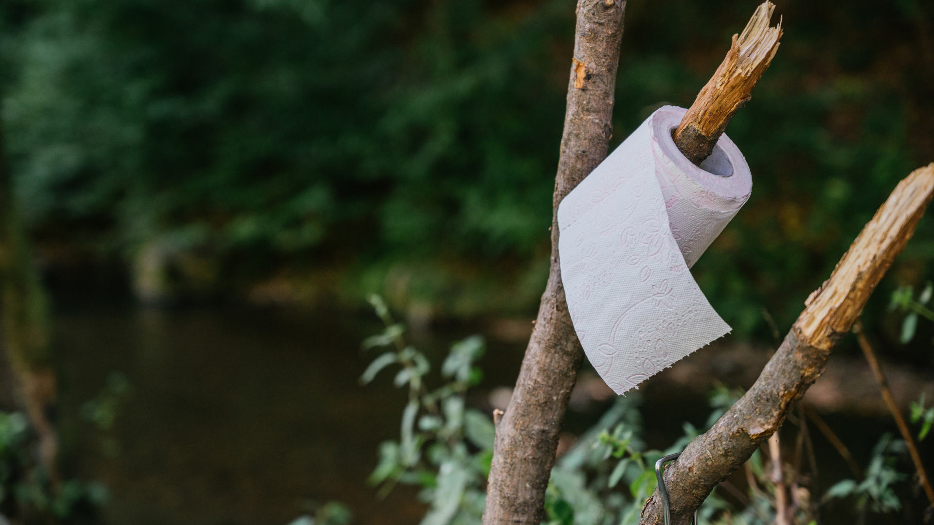 Eco-Friendly Toilet Paper: A Sustainable Choice for Your Bathroom