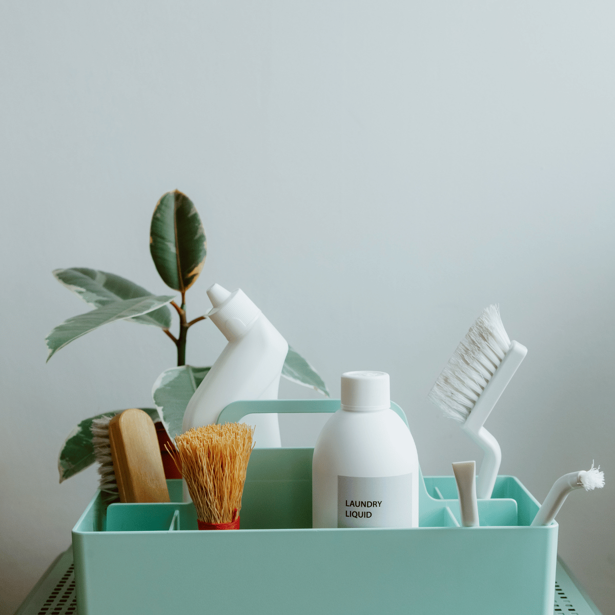 Eco-Friendly Cleaning: The Power of Concentrated Products