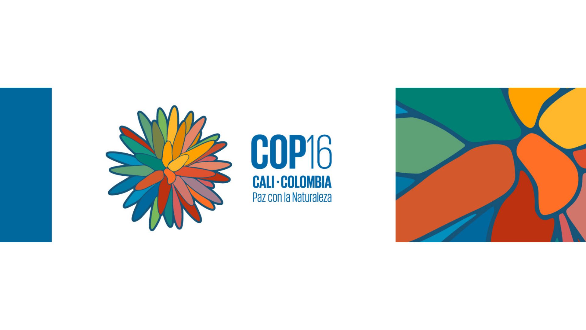 What is Happening at the COP16Colombia? (UN Biodiversity Conference)