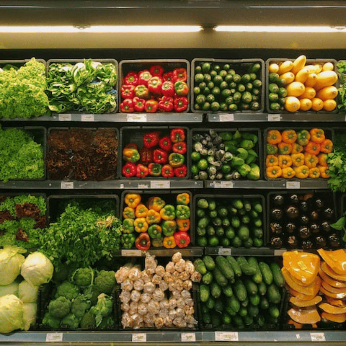 5 Tips for Sustainable Grocery Shopping