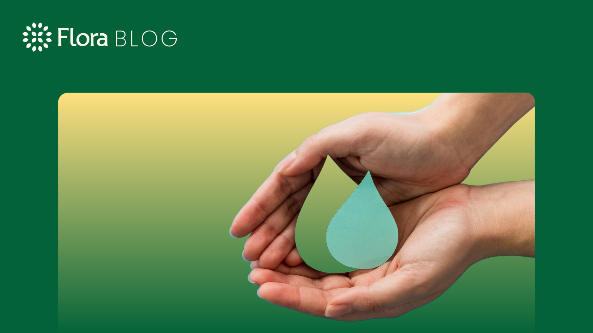 Sustainable Living Guide #9: Water Conservation