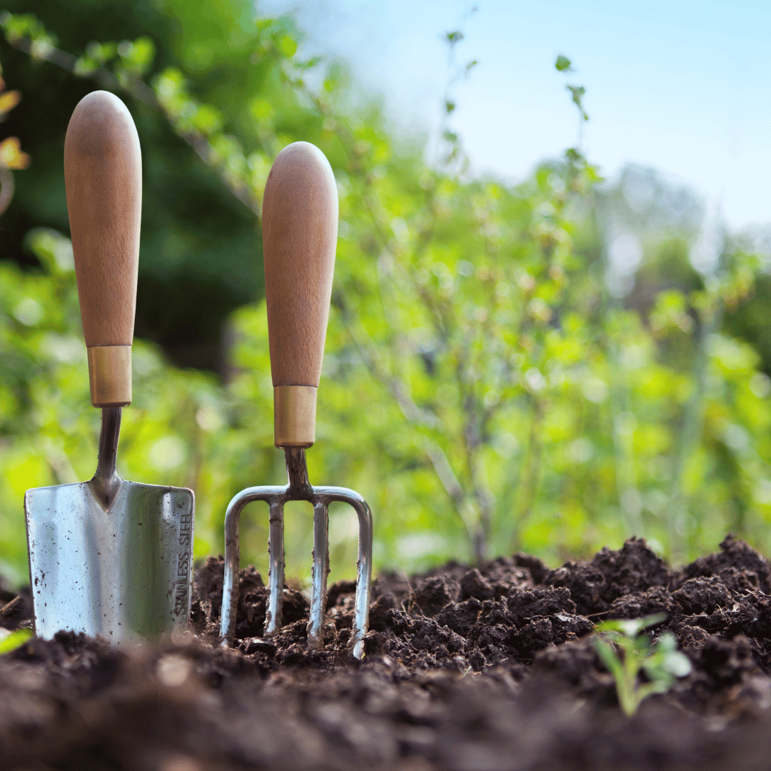 Eco-Friendly Gardening Tips