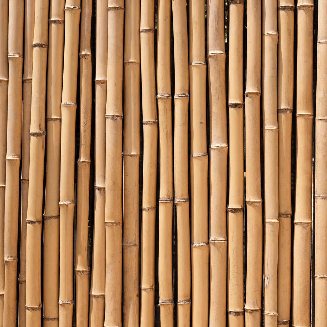 Is Bamboo Truly Sustainable?