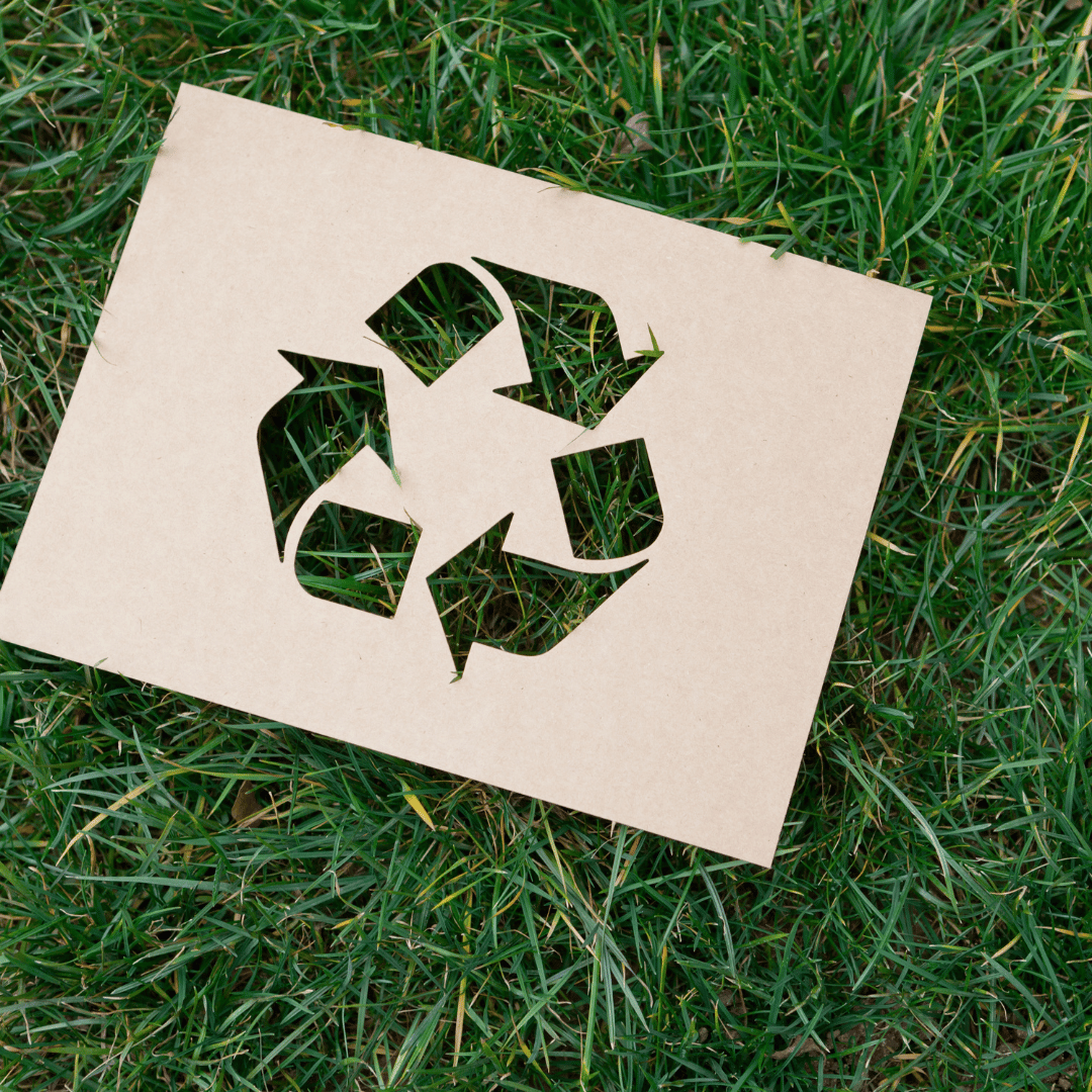 Recycling Revealed: Busting the Top 5 Myths and Misconceptions