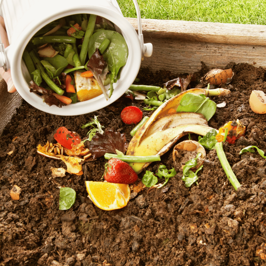 Debunking Common Composting Myths: What You Need to Know
