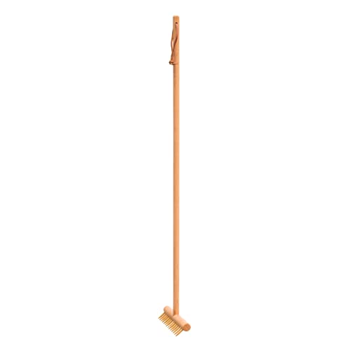 Carpet Rake | Eco-Friendly, Oiled Beechwood, 28-1/3-Inch Handle