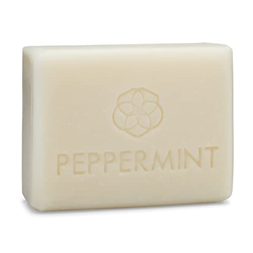 Body Wash | Peppermint Scent, Gentle Cleansing