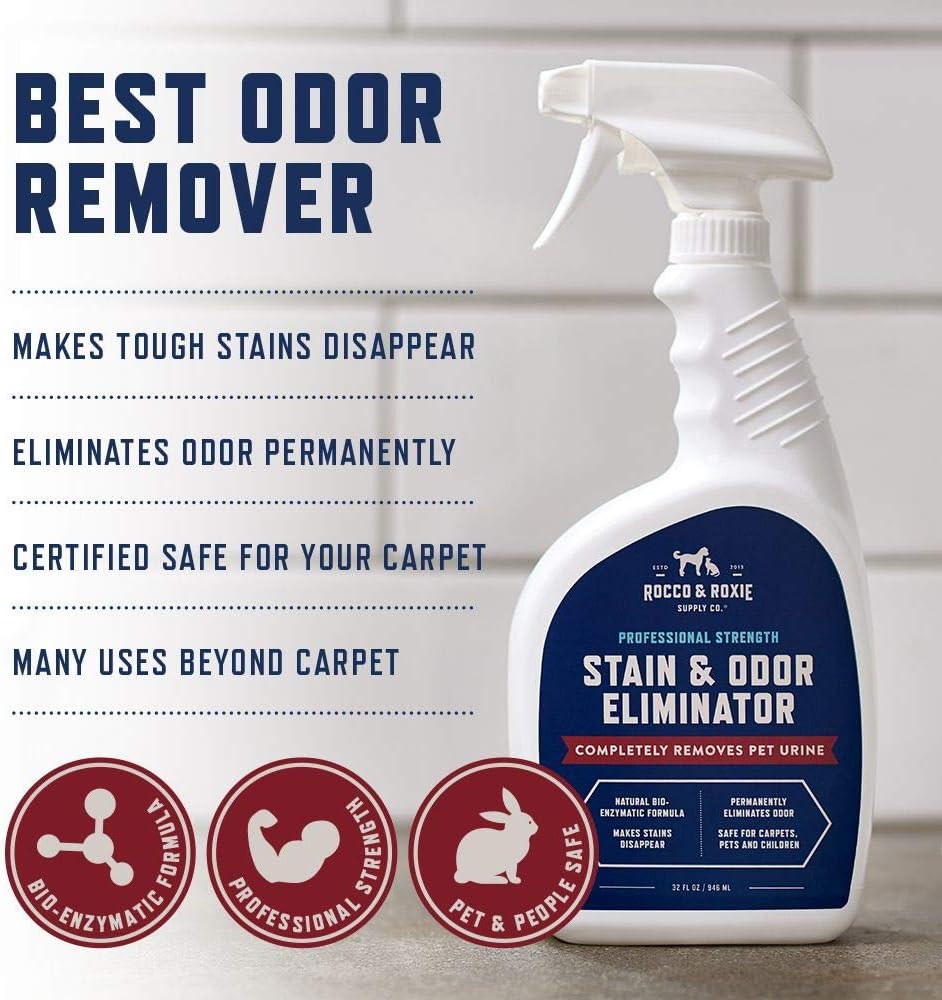 Carpet Stain Remover & Odor Eliminator | Fast Acting Formula, 32 fl oz.