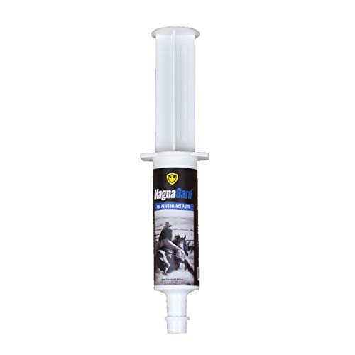 Horse Supplement | All Natural Calmer, Acid Buffer, Gastric Support, 60ml Syringe