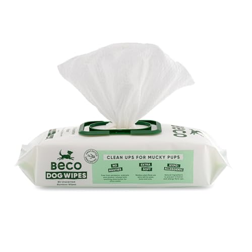 Dog Wipes | Thick Grooming, Home Compostable, 80 Count