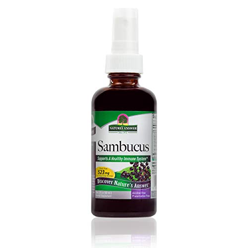 Elderberry Extract Spray | 2 Ounces, Immune System Support, Alcohol-Free