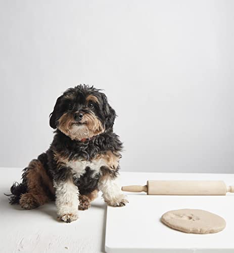 eco-kids Pawprint Making Kit - “A Dog at The Beach” Memorial Keepsake – Paw Sand Imprint Kit - includes Sand Casting Medium & Beach Shells – for Dog or Cat - DIY, Add Water & Bake - Safe & Non Toxic