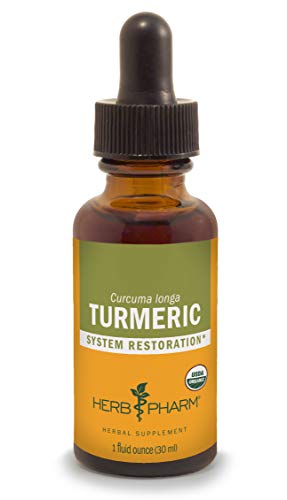 Turmeric Extract | Certified Organic, 1 Ounce