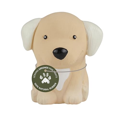 Dog Chew Toy | Natural Rubber, Sore Gum Relief, Keeps Dogs Busy