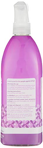 Antibacterial Cleaner Spray | Kills 99% of Household Germs, Wildflower Scent, 28 Fl Oz