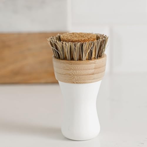 Nellie's Forever Brush - The Ultimate Sponge-Brush Hybrid for Eco-Friendly Dishwashing - Sustainable Design - Versatile Scrubbing Power - Long-Lasting Handle - Eco-Conscious Kitchen Essential