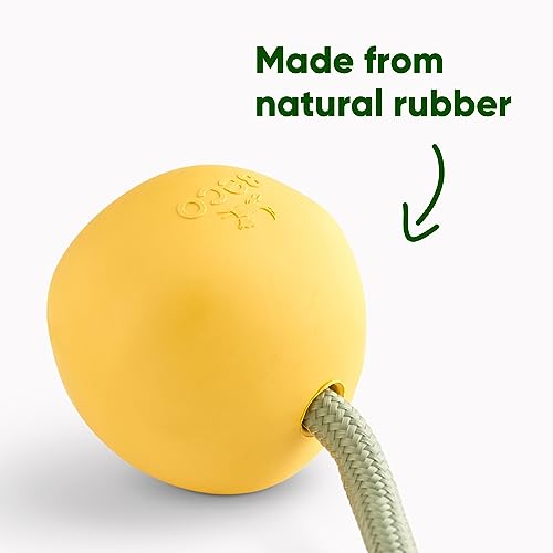 Dog Toy | Natural Rubber, Ball on a Rope