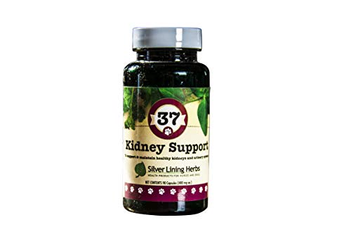 Dog Supplement | Herbal Blend for Kidney & Bladder Support, 90 Capsules