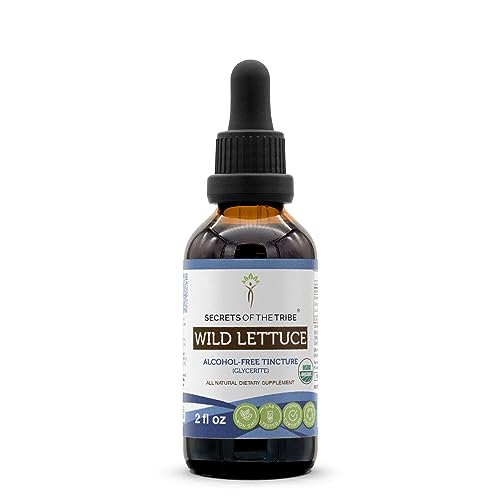 Digestive Herbal Drops | Alcohol-Free Extract, High-Potency, 2 oz