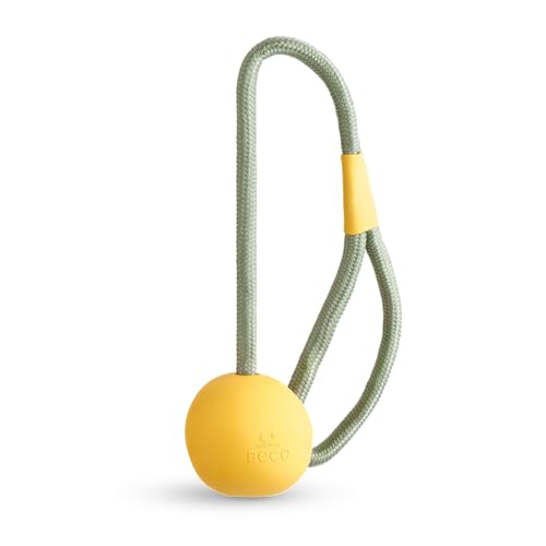 Dog Toy | Natural Rubber, Ball on a Rope