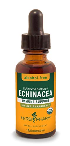 Echinacea Herbal Supplement | Alcohol-Free, Immune Support, 1 oz