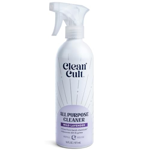 All Purpose Cleaner | Refillable Aluminum Bottle, 16 oz