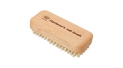 Gardener's Nail Brush | Oiled Beechwood Handle, 4.25 Inches