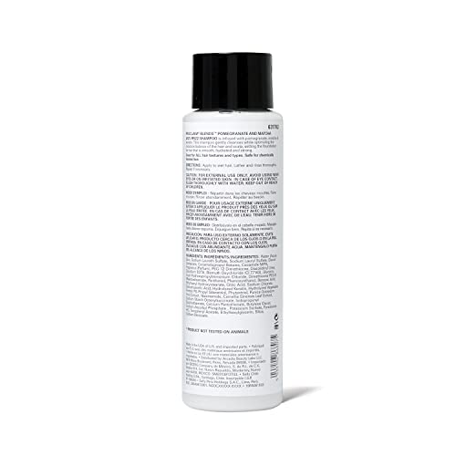 Shampoo | Anti-Frizz, 16 Fl Oz