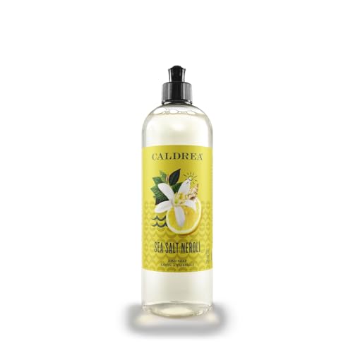 Dish Soap | Biodegradable, Made with Soap Bark and Aloe Vera, 16 oz