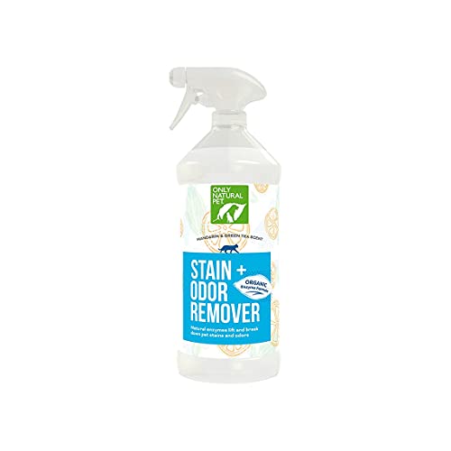 Pet Odor & Stain Remover | Enzyme Powered, 32 oz, Fresh Mandarin Orange & Green Tea Scent