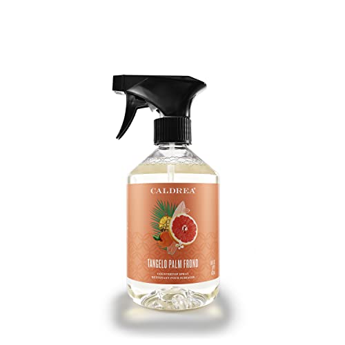 Multi-Surface Cleaner | Vegetable Protein Extract, Tangelo Palm Frond Scent, 16 Oz