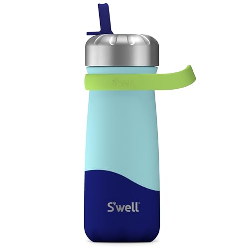 Insulated Stainless Steel Traveler | 16 oz, Blueberry, Triple Layered, Keeps Drinks Cold