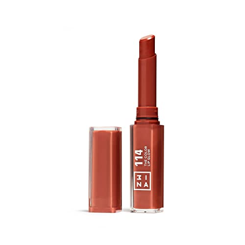 Lipstick | Highly Pigmented, Shea Butter, 0.05 oz, Rich Terracotta Brown