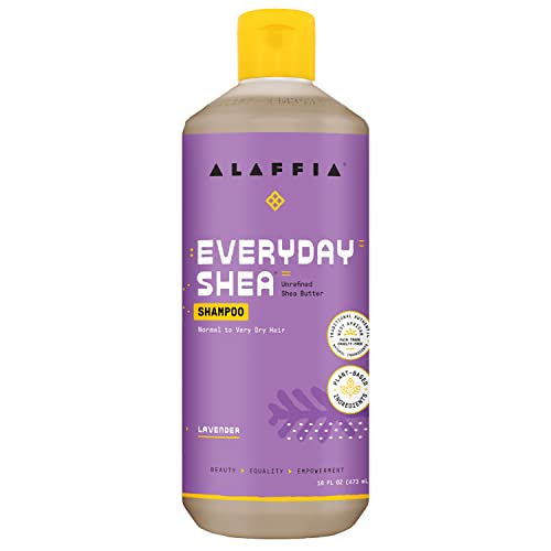 Shampoo | Normal to Very Dry Hair, Shea Butter and Coconut Oil, Lavender, 16 Fl Oz