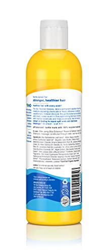 Conditioner | Repair & Refresh, Ocean Surf, 12 Oz