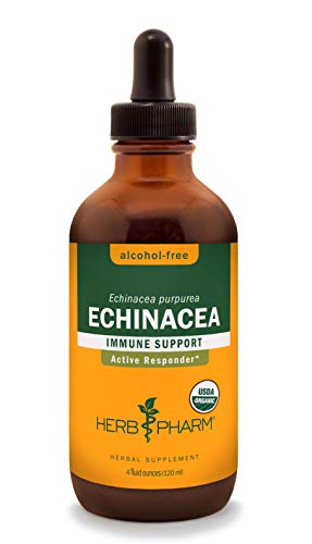 Echinacea Liquid Extract | Certified Organic, Alcohol-Free Glycerite - 4 oz.