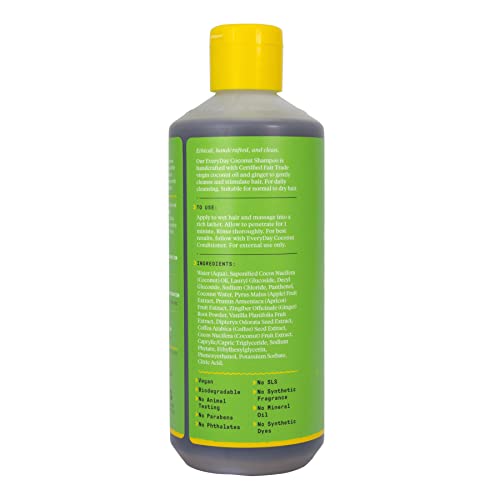 Shampoo | Gentle & Hydrating, Suitable for Wavy & Curly Hair, Contains Vitamin E and Ginger Extract, 16 Fl Oz