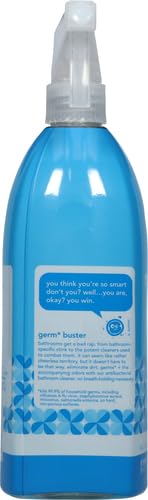 Antibacterial Bathroom Cleaner | Spearmint Scent, Mold and Mildew Stain Remover, 28 Fl Oz