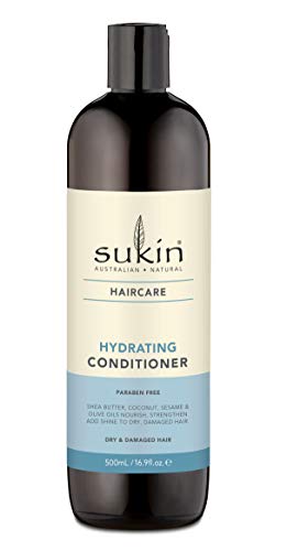 Conditioner | Hydrating, 16.9 Fl Oz, for Dry & Damaged Hair