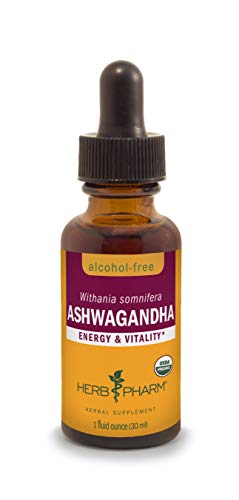 Ashwagandha Liquid Extract | Alcohol-Free, Vegan, 1 oz.