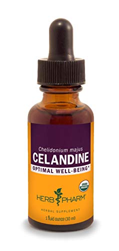 Herbal Extract | Certified Organic Celandine, 1 fl oz