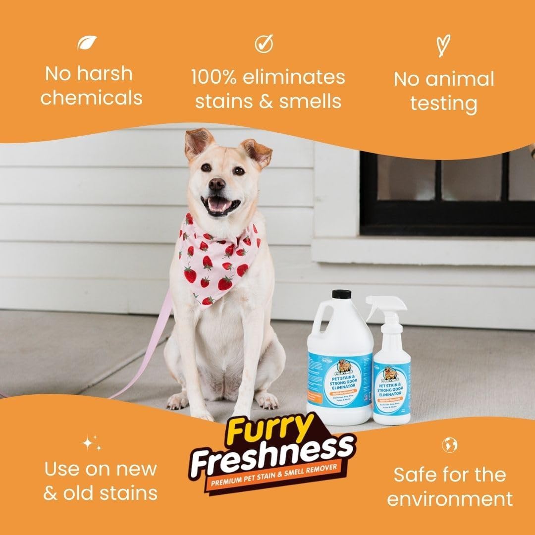 Pet Stain & Odor Remover | Enzymatic Formula, 32 fl oz.