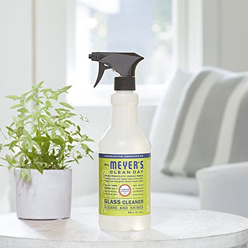 Glass Cleaner | Indoor & Outdoor Use, 24 Fl Oz