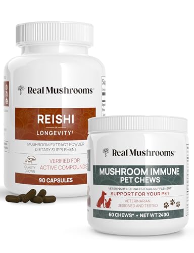 Mushroom Capsules | 90 Count, Immune Support, Vegan, Non-GMO