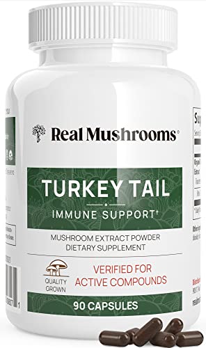 Mushroom Supplement | Organic Turkey Tail Extract, 90 Capsules